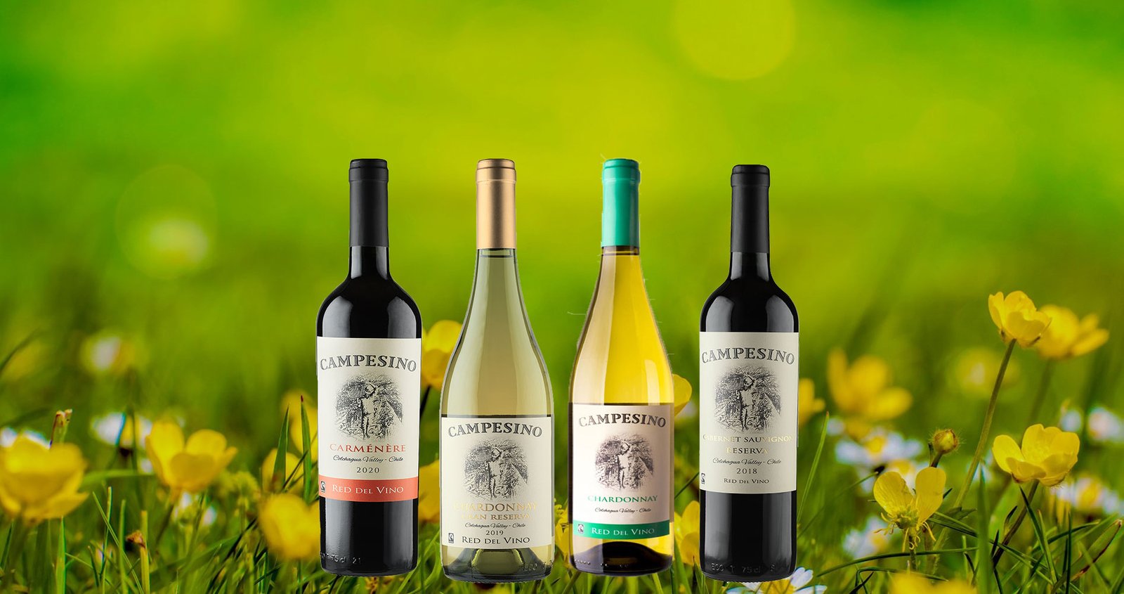 Red-del-Vino-Vinos-Campesino Red del Vino Vinos Campesino