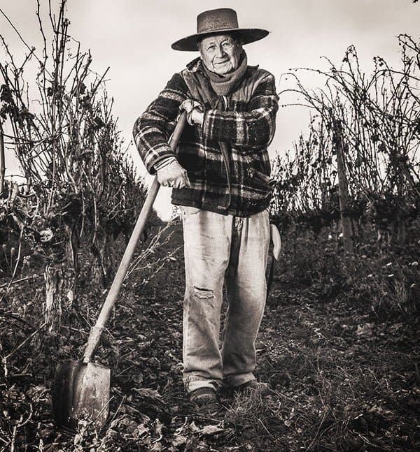 A Colchagua wine grower in the vineyard