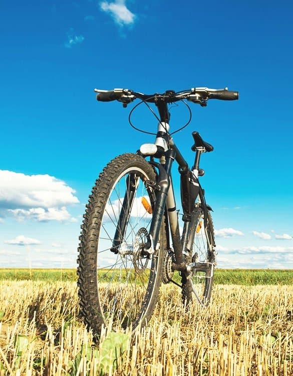 BIKE RENTALS