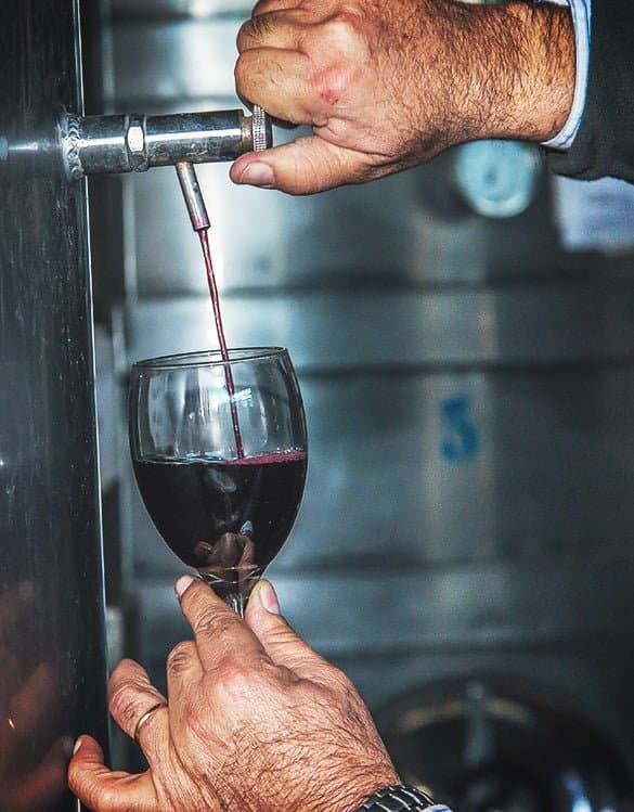 VITICULTURAL TOUR